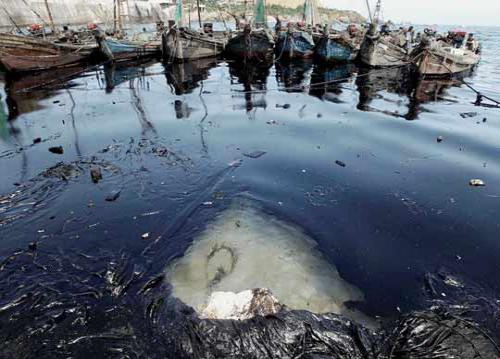 我國(guó)航運(yùn)業(yè)面臨低碳巨大挑戰(zhàn)